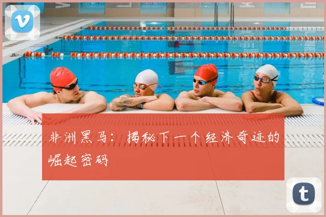 非洲黑马：揭秘下一个经济奇迹的崛起密码